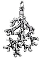 Charm Giovanni Raspini Charms in Argento 06850 - 06850